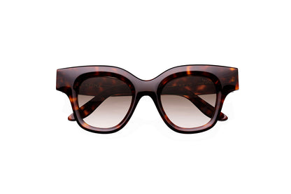 sun-helo-havana-gradient