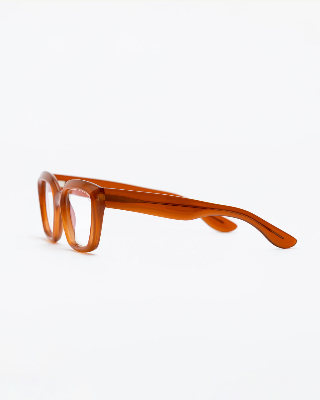 optical-patti-terra